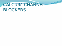 CA channel blockers.pptx